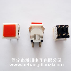 �����_�P(gu��n)WPT-24 �t