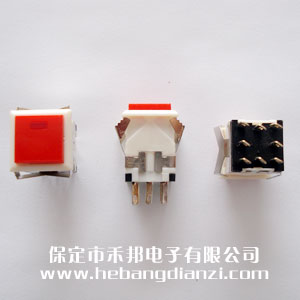 �����_�P(gu��n)WPT-22 �t