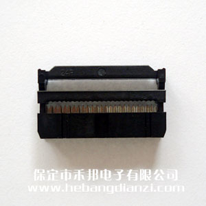 �����^FC24